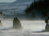 arctic5