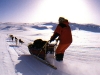 arctic7